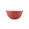 Mason Cash In The Forest Hedgehog Size 30 Mixing Bowl, Red, 1.15 Quart